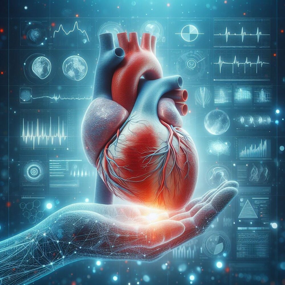Discovering new ways to diagnose, treat and repair diseases of the heart 25 April 2024